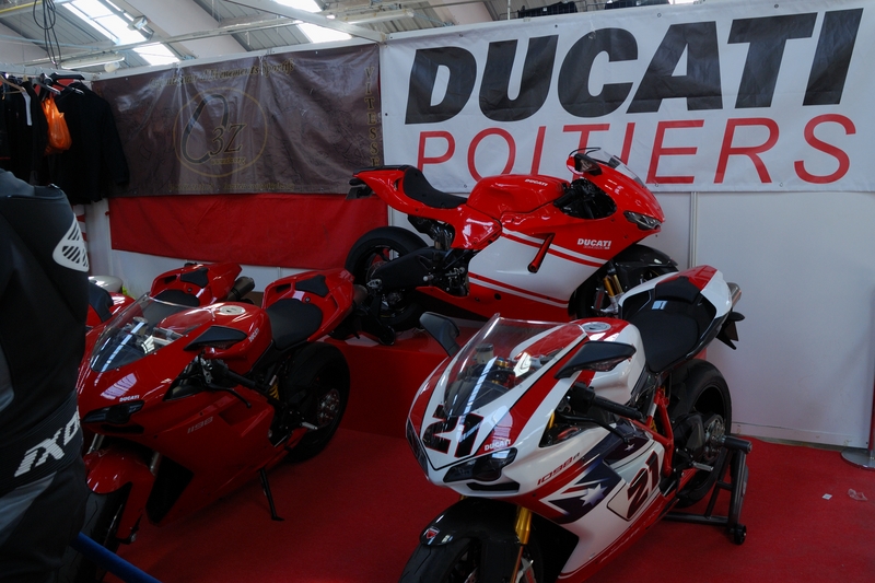Puce_Niort_2009_078 [800x600].jpg